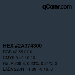 Color code: HEX #2A374300 | qconv.com