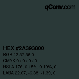 Color code: HEX #2A393800 | qconv.com