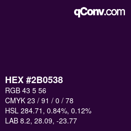 Color code: HEX #2B0538 | qconv.com