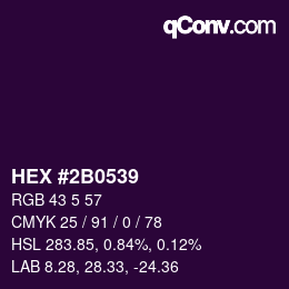 Color code: HEX #2B0539 | qconv.com