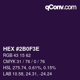 Color code: HEX #2B0F3E | qconv.com