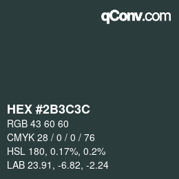 Color code: HEX #2B3C3C | qconv.com