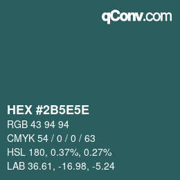 Color code: HEX #2B5E5E | qconv.com