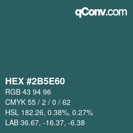 Color code: HEX #2B5E60 | qconv.com