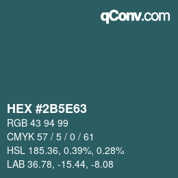 Color code: HEX #2B5E63 | qconv.com