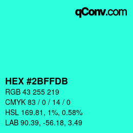 Color code: HEX #2BFFDB | qconv.com