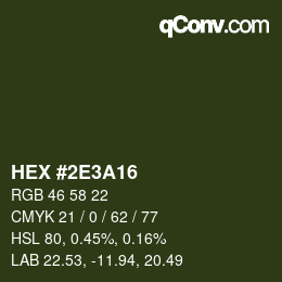 Color code: HEX #2E3A16 | qconv.com