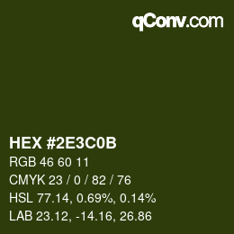 Color code: HEX #2E3C0B | qconv.com