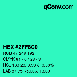 Color code: HEX #2FF8C0 | qconv.com