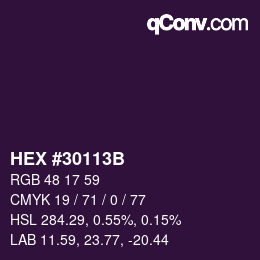 Farbcode: HEX #30113B | qconv.com