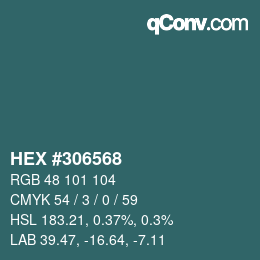 Color code: HEX #306568 | qconv.com
