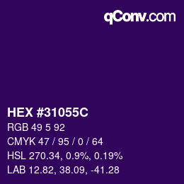 Color code: HEX #31055C | qconv.com
