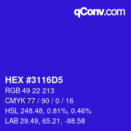Color code: HEX #3116D5 | qconv.com