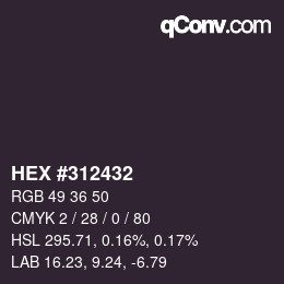 颜色代码: HEX #312432 | qconv.com