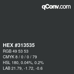Color code: HEX #313535 | qconv.com