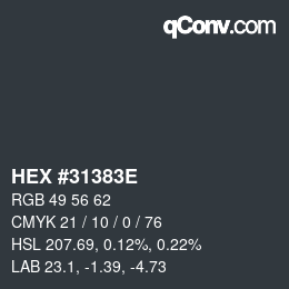 Color code: HEX #31383E | qconv.com