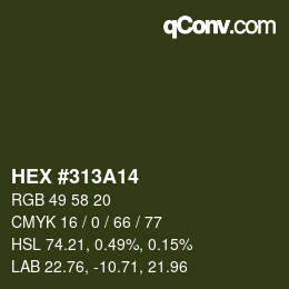 颜色代码: HEX #313A14 | qconv.com