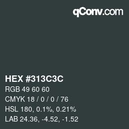 Farbcode: HEX #313C3C | qconv.com