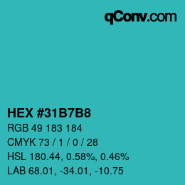 Color code: HEX #31B7B8 | qconv.com