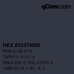 Color code: HEX #33374300 | qconv.com