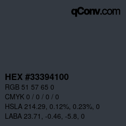 Color code: HEX #33394100 | qconv.com
