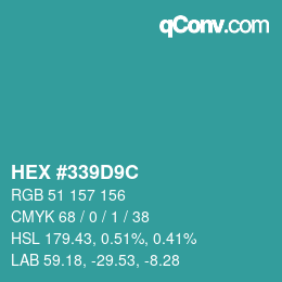 Color code: HEX #339D9C | qconv.com