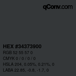 Color code: HEX #34373900 | qconv.com