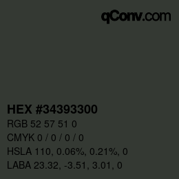 Código de color: HEX #34393300 | qconv.com