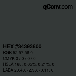 Color code: HEX #34393800 | qconv.com