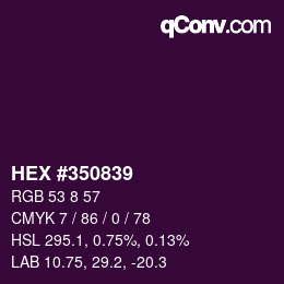 Color code: HEX #350839 | qconv.com