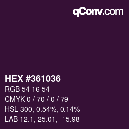 Color code: HEX #361036 | qconv.com