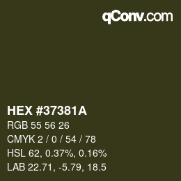 Color code: HEX #37381A | qconv.com