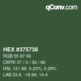 颜色代码: HEX #375738 | qconv.com
