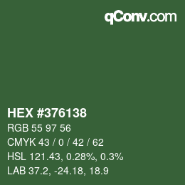Farbcode: HEX #376138 | qconv.com