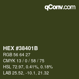 Color code: HEX #38401B | qconv.com