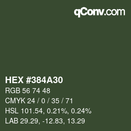颜色代码: HEX #384A30 | qconv.com