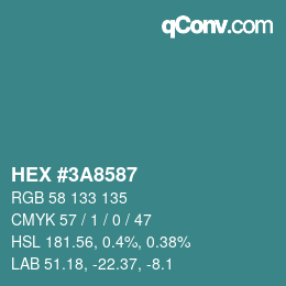 Color code: HEX #3A8587 | qconv.com