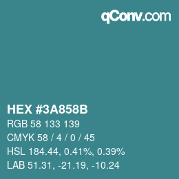 Color code: HEX #3A858B | qconv.com