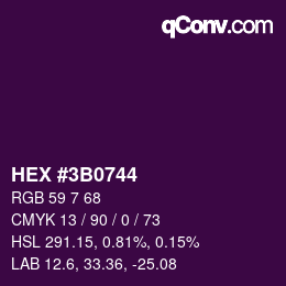 Color code: HEX #3B0744 | qconv.com