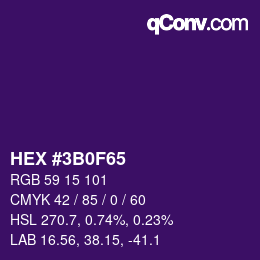 Color code: HEX #3B0F65 | qconv.com