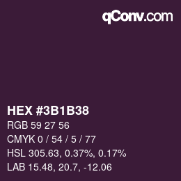 Farbcode: HEX #3B1B38 | qconv.com