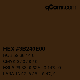 Color code: HEX #3B240E00 | qconv.com