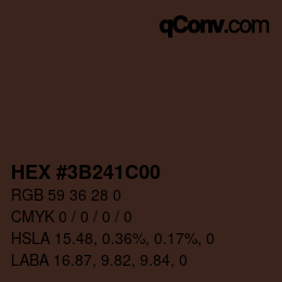 颜色代码: HEX #3B241C00 | qconv.com