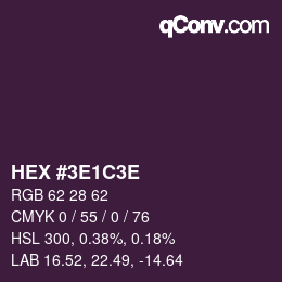 Color code: HEX #3E1C3E | qconv.com