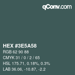 Color code: HEX #3E5A58 | qconv.com