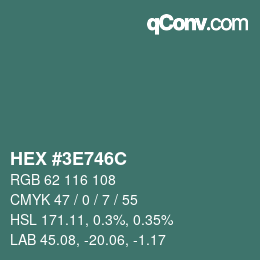 Color code: HEX #3E746C | qconv.com