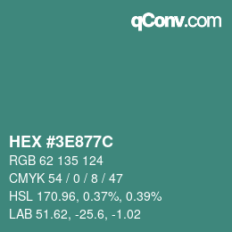 Color code: HEX #3E877C | qconv.com
