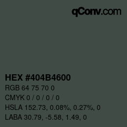 Color code: HEX #404B4600 | qconv.com