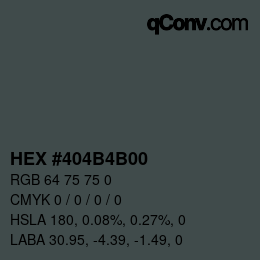 Color code: HEX #404B4B00 | qconv.com