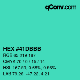 Color code: HEX #41DBBB | qconv.com